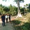 Land measurement for a Model hospital in Uriamghat
